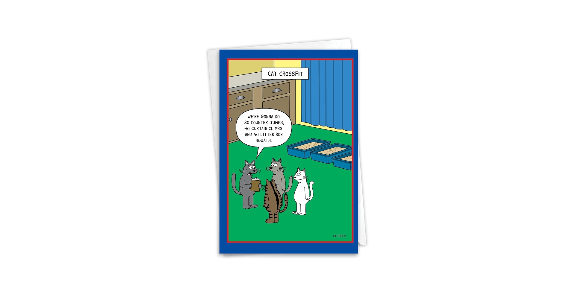 Amazon.com : NobleWorks Funny Birthday Greeting Card with 5